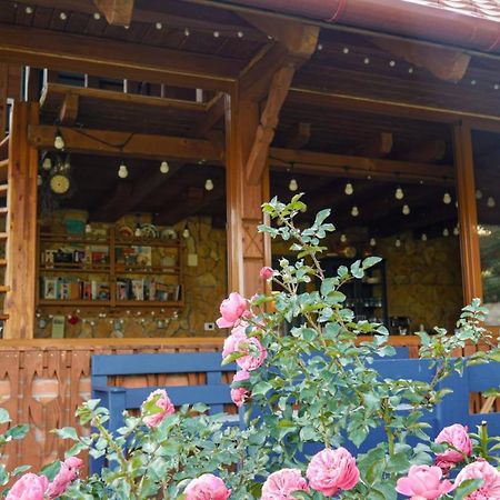 Bed and Breakfast Rose Hip Hill Farm à Valea Tirnei Extérieur photo