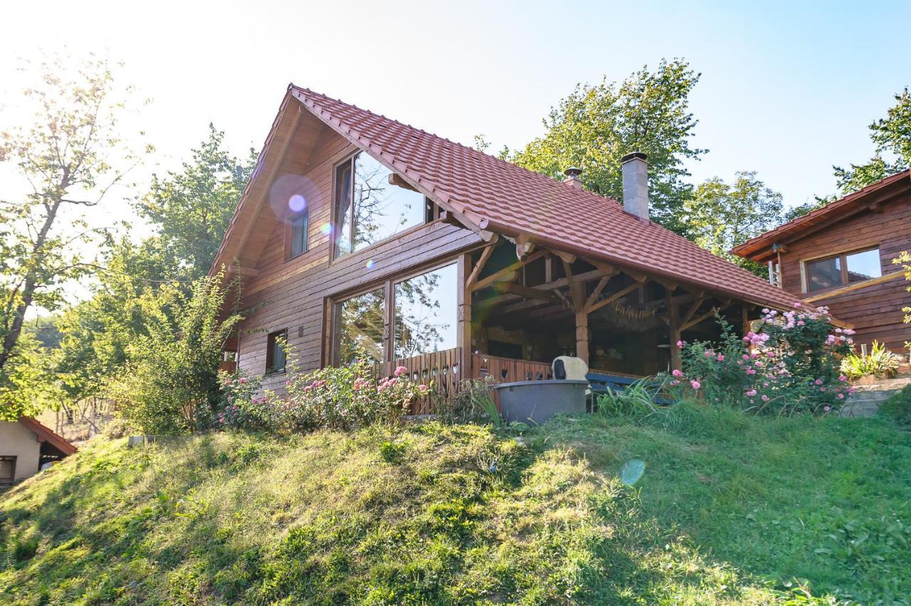 Bed and Breakfast Rose Hip Hill Farm à Valea Tirnei Extérieur photo