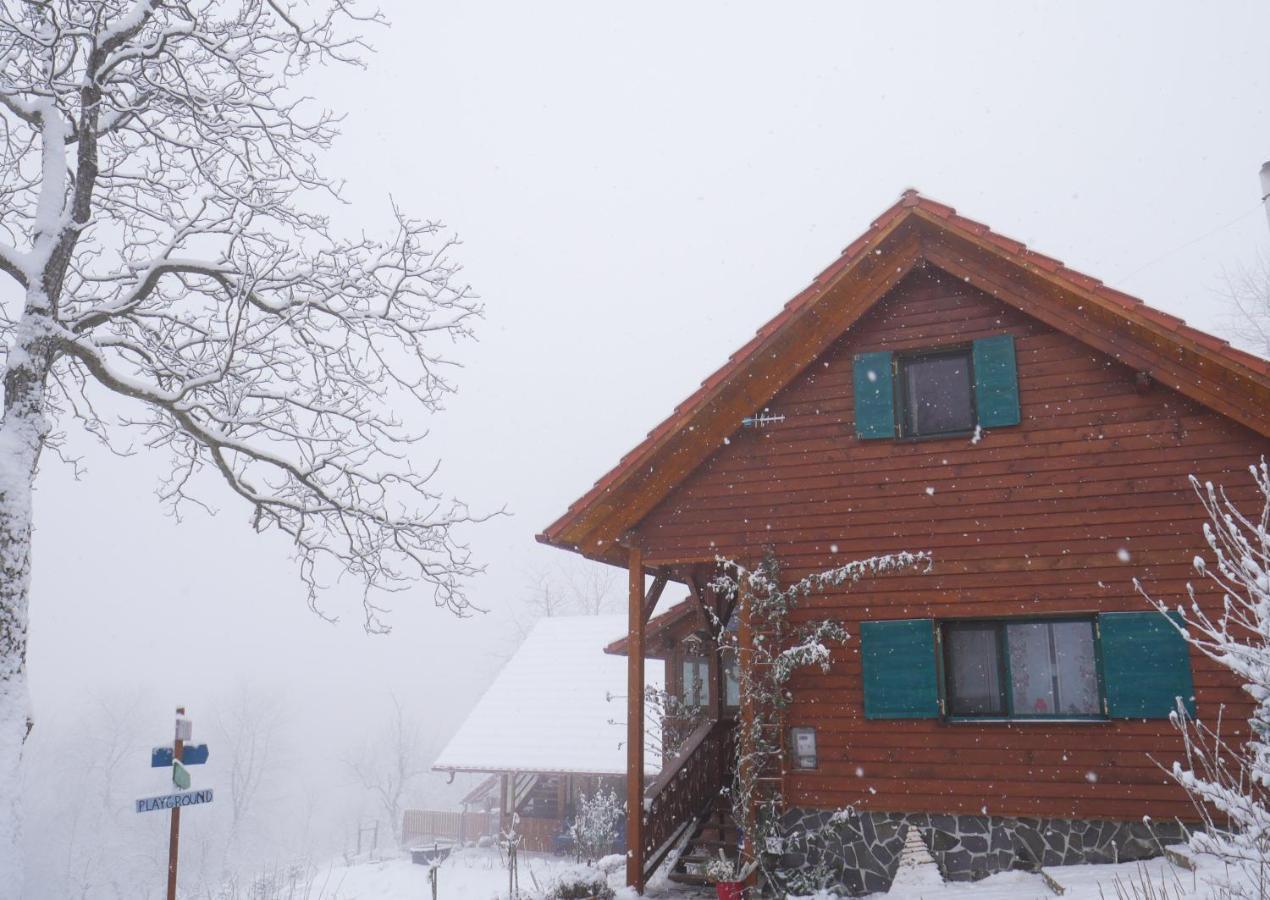 Bed and Breakfast Rose Hip Hill Farm à Valea Tirnei Extérieur photo