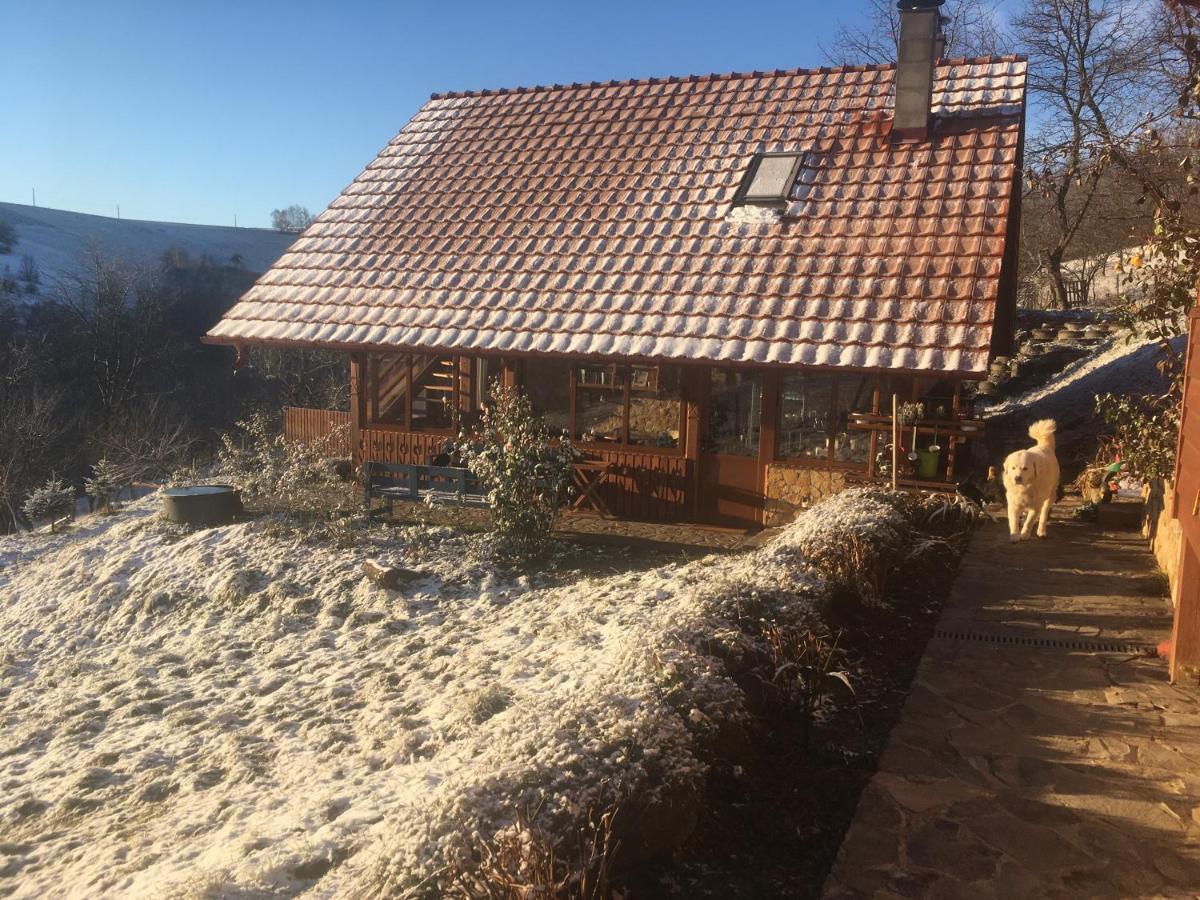 Bed and Breakfast Rose Hip Hill Farm à Valea Tirnei Extérieur photo